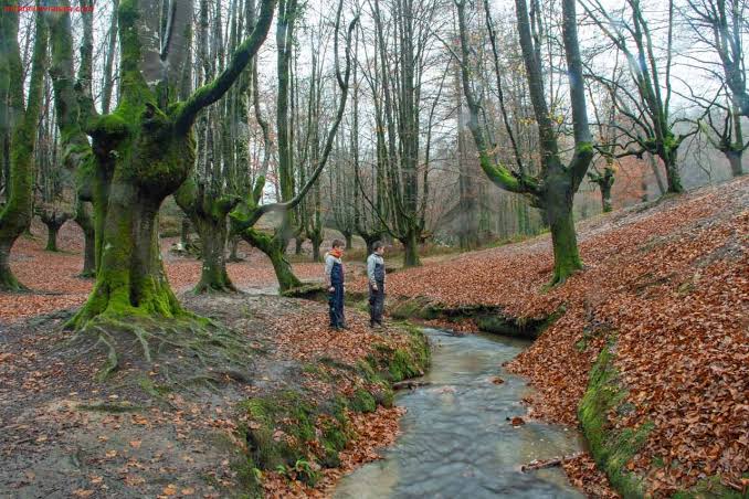 HAYEDO DE OTZARRETA Y CASCADA DE UGUNA EN EL PARQUE NATURAL DE GORBEIA