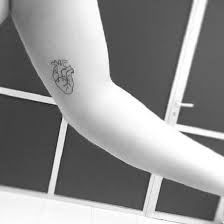 Flash tattoo or print design vector illustration Top 30 Anatomical Heart Tattoos Popular Anatomical Heart Tattoo Design