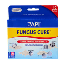 Scott aquarium biloxi, ms.finally, in this short presentation, i would like to briefly discuss fish tank diseases that can be transmitted to humans. Api Fungus Cure