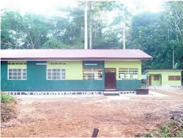 Image result for Thomandersia congolana