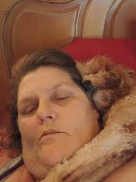 Loving a goldendoodle forever