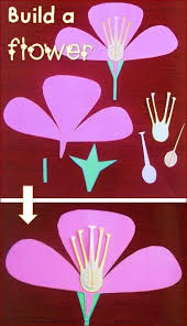 Nyla S Crafty Teaching Parts Of A Flower Activities Parts Of A Flower Plant Science Study Cards