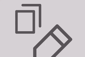 Image result for Solenangis conica