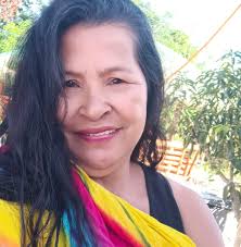 Ancient Coast Redwood Tree in California