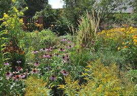 Staudengarten Gross Potrems Gute Nachbarn Im Wildstaudengarten Staudengarten Schattenblumen Hechtkraut