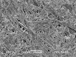 Maybe you would like to learn more about one of these? Pin By 5000 Crafts Diy On Microscopic Imagery Microscope Tissue Paper Paper