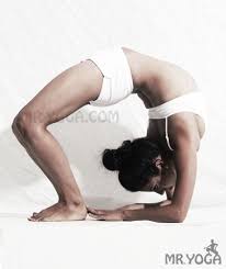 Wheel Variations Yoga Yogapose Challengeyourself Urdhva Dhanurasana Variations Backbend Yoga Poses Yoga Yoga Poses