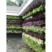 1,304 likes · 44 talking about this. Natural Vertical Garden For Home Garden Commercial Etc Rs 400 Square Feet Id 21464569691