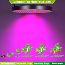 Maybe you would like to learn more about one of these? Best Grow Lights For Seedlings Our 2021 Reviews