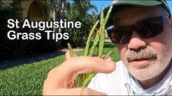 I am the original lawn care youtuber (400,000 subscribers) and have helped thousands of homeowners achieve lawn success and neighborhood domination. 5lrmu2 9l255lm