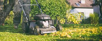 Getting it sorted should be a priority, though some gardening jobs might look small it's often the case that they can grow out of control if left. Garden Maintenance Dubai Garden Landscaping Service Homegenie