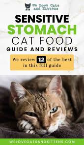 Best Cat Food For Sensitive Stomach Cats Reviews And Cat Food Guide In 2020 Best Cat Food Cat Food Cat Allergies