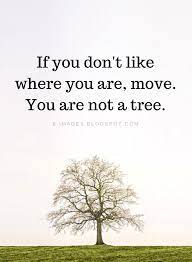 No matter what challenge you are facing. Move On Quotes If You Don T Like Where You Are Move You Are Not A Tree Move On Quotes Tree Quotes Moving