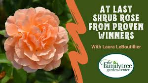Create a colorful cool weather container garden. Take A Tour Of The Family Tree Garden Center Youtube