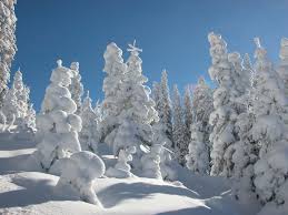 Der schnee blendet uns die augen. Das Medium Schnee Intersport Arlberg St Anton Am Arlberg Tirol
