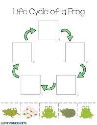 Pin By Amy Coronado On Homeschool Life Cycles Frog Life Cycle Printable Lifecycle Of A Frog
