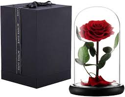 Led glass rose is a symbol of appreciation, best wishes, forever love, passion, and romantics. Eterfield Preserved Flower Rose Eternal Rose Forever Flower In Glass Dome Gifts For Her Thanksgiving Christmas Valentine S Day Mother S Day Anniversary Birthday Red Amazon Co Uk Home Kitchen