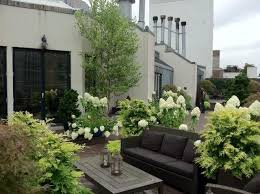 Rooftop Garden Manhattan Designed Installed Maintained By Plant Specialists Www Plantspecialists Com Garden Design Plants Cool Plants