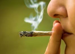 Resultado de imagen para MARIHUANA