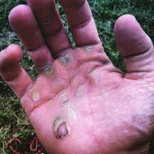 Image result for rowing hands