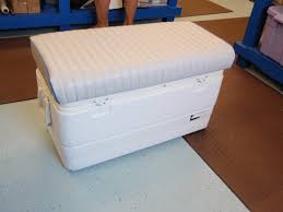 removable cushion for 94 qt marine ice