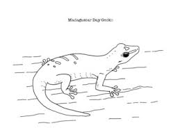 You can search several different ways, depending on what information you have available to enter in the site's search bar. Madagascar Day Gecko Coloring Page By Mama Draw It Tpt