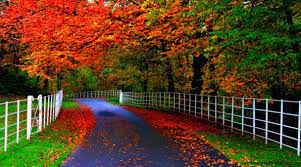 Beautiful Nature Hd Wallpapers Group 1216 676 Wallpapers Hd Nature 49 Wallpapers Adorable Wal Beautiful Nature Wallpaper Beautiful Nature Nature Wallpaper