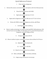 flow chart of human fetal icc preparation and staining for