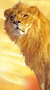 Majestic Lion Wallpaper Angry Lion Wallpaper Badass Lion Wallpaper Lion Gif Wallpaper Lion Live Wallpaper Lion Wallpaper Live Wallpapers