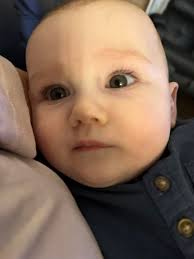 Elise Conrad Dailey (@thrivinglife_momma) • Instagram photos and videos