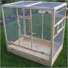 So, if you're really into surprising your pet with a cage built by your own hands, bookmark this page right now! Best Pet Bird Cage Diy 34 Ideas Pet Bird Cage Large Bird Cages Bird Cage