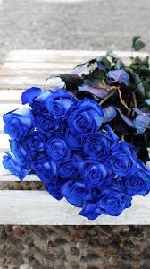 It comes in different shapes, sizes, and colours. Send A Beautiful Bouquet Of Blue Roses Blue Rose Bouquet Blue Roses Blue Roses Wallpaper