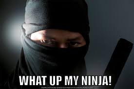 Pin By Pietro Henao On Ninjutsu Ninja And Bujinkan Memes Ninja I Ninja Memes