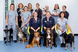 Thu jan 28 11:41:01 est 2016 by: Beach Bay Vet Online Vet Consultations Vet In Empire Bay