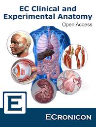 Ecronicon Open Access Scientific Publications Online Publications Medical Journals Dental Science Nutrition Microbiology Orthopaedics Ophthalmology Neurology Gynaecology Paediatrics Pharmacology And Toxicology