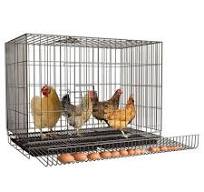 Poulaillers et cages, grande cage à poulet, avec bac à déchets + traînée de  collecte des œufs + serrure de porte, pour extérieur/intérieur, parc pour  ...