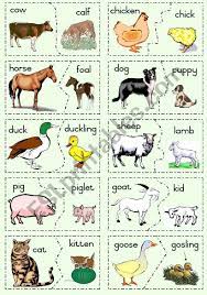 Pin On Worksheets