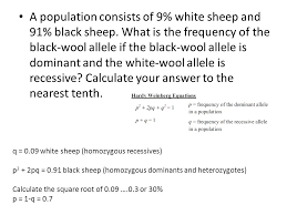 Work power and energy worksheets answers. Hardy Weinberg Worksheet Ppt Video Online Download