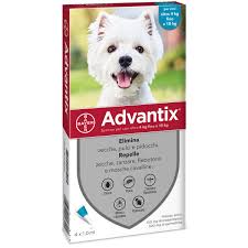 We did not find results for: Advantix For Medium Dogs Estrela Animal