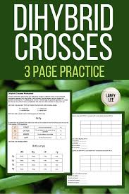 Thus, a dihybrid cross involves two pairs of genes. Dihybrid Crosses Practice Worksheet Middle School Science Resources Middle School Science Class High School Science