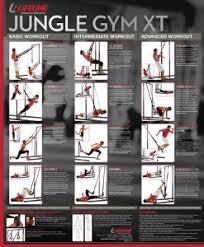 Jungle Gym Xt Exercise Chart Gymtutor Co