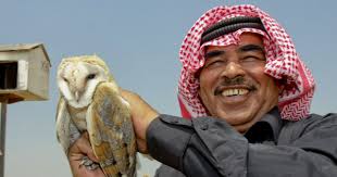 A incrível insônia do Sabiá-laranjeira