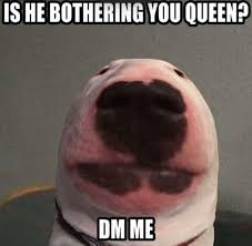 Walter Memes Funny Memes Haha Funny