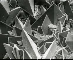 Kidney Stone Surface Voeding Gezond Vormen