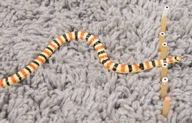 Suborder serpentes) lack external ear openings, moveable eyelids, and most north carolina snakes are colubrids. Slithering Snakes Diffract Like Quantum Particles Physics World
