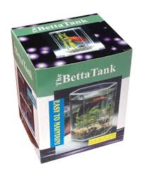 They will fight for their tank. Orca Betta Hexagon Fish Tank B450100 The Aquarium Shop Australia