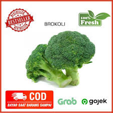 Sayangnya, banyak sayur sayuran yang cocok ditanam di daerah dataran tinggi. Brokoli Sayur Sayuran Hijau Sayuran Fresh Jakarta 500 Gram Shopee Indonesia