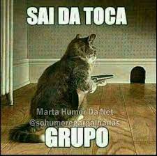 pin de rosana nunes em coisas engracadas fotos com frases engracadas ferias engracadas frases engracadas para whatsapp