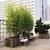 Plant Combination Ideas For Container Gardens