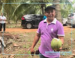 Selain benih kelapa matag, saya juga ada menjual benih kelapa mawar king untuk tujuan pemandangan lanskap serta perladangan. Dulu Rm1 500 Sebulan Makan Gaji Sekarang Rm50 000 Sebulan Bisnes Buah Kelapa Pandan Dan Mataq My Info Maya